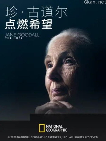 珍·古道尔：点燃希望
