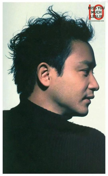 不羁的风：张国荣