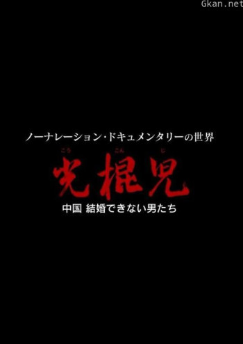 光棍儿：中国结不了婚的男人们