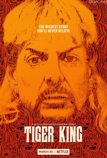 养虎为患 第一季