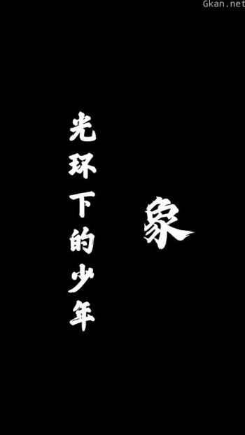 光环下的少年——象