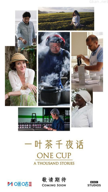 一叶茶，千夜话