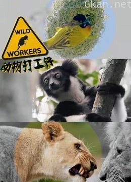 动物打工仔(英文版)