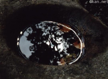 the most fragile of species