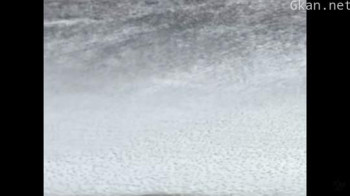 Hair is a Piece of Head