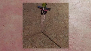 a body is a body is a body