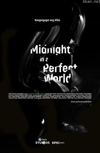 午夜中的完美世界