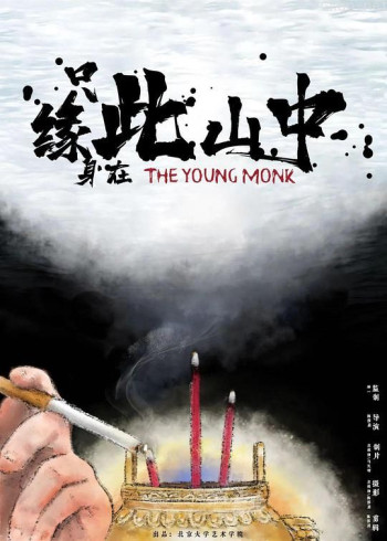 只缘身在此山中