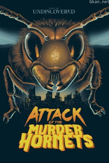 凶杀黄蜂队的进攻