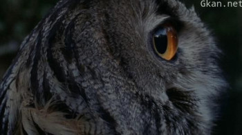 Mjesta koja ćemo disati