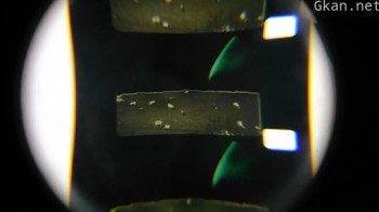 Darkness, Darkness, Burning Bright – Prelude