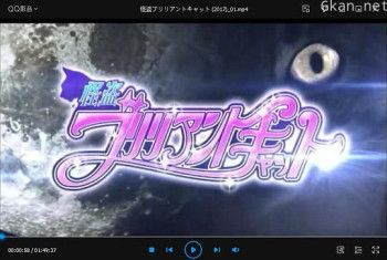 怪盗ブリリアントキャット