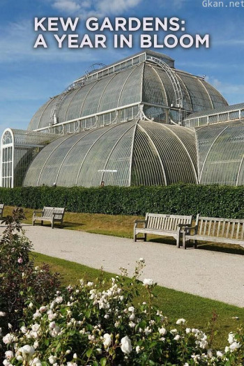 Kew Gardens: a year in bloom