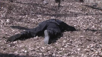 大明嫔妃之逐鹿