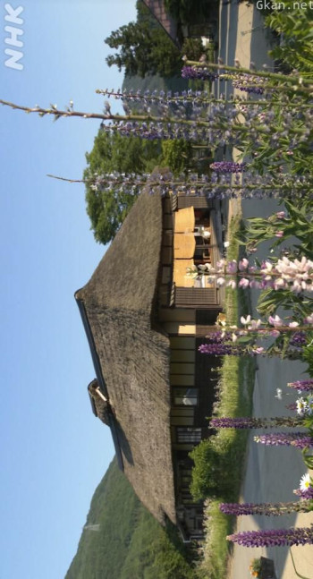 美之壶 日本の原風景 古民家 ５４６