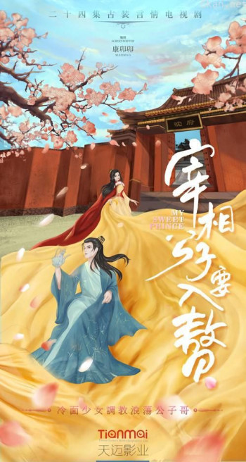 宰相公子要入赘