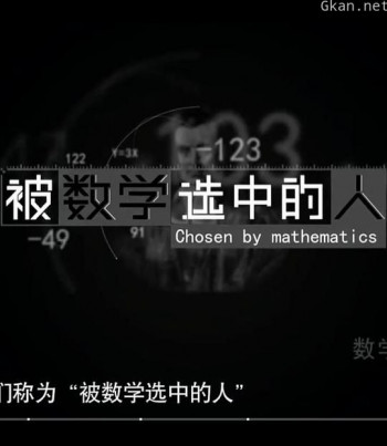 被数学选中的人