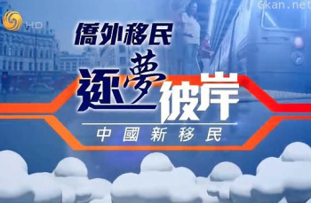 逐梦彼岸--中国新移民