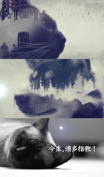 今生,请多指教 第二季