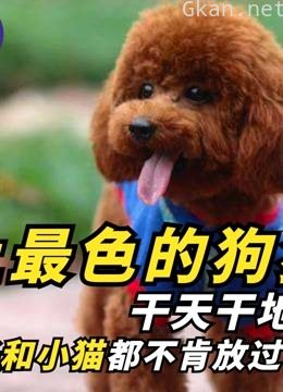 宠物大揭秘:科普宠物各种奇葩事