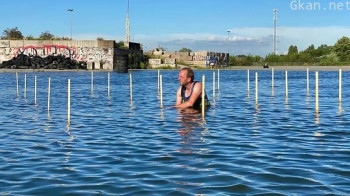 If Paradise is Half As Nice