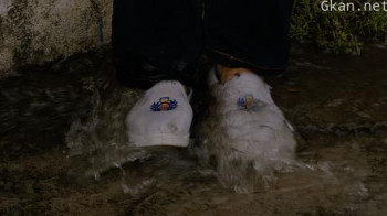 Nhung Con Voi Trong Thanh Pho