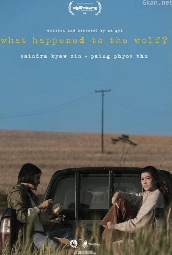 What Happened to the Wolf?