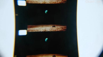 Darkness, Darkness, Burning Bright – Oraison