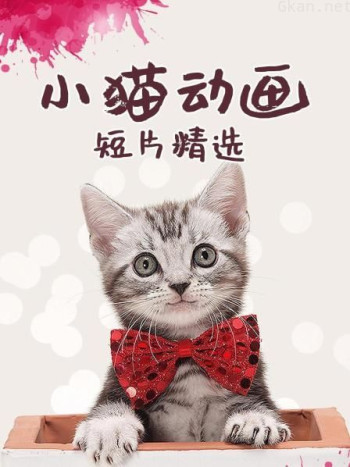 小猫动画短片精选