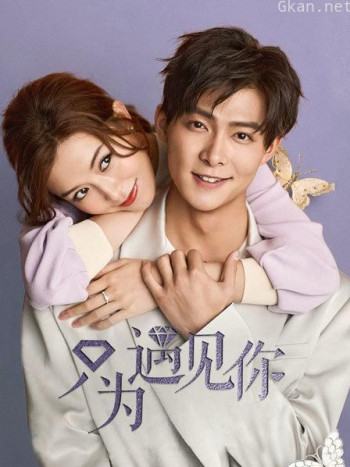 只为遇见你 DVD版