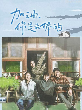 加油，你是最棒的 DVD版