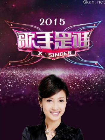 歌手是谁 2015
