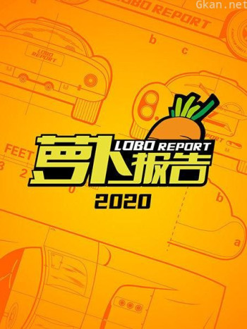 萝卜报告2020