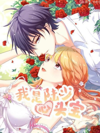 我是陆少心头宝