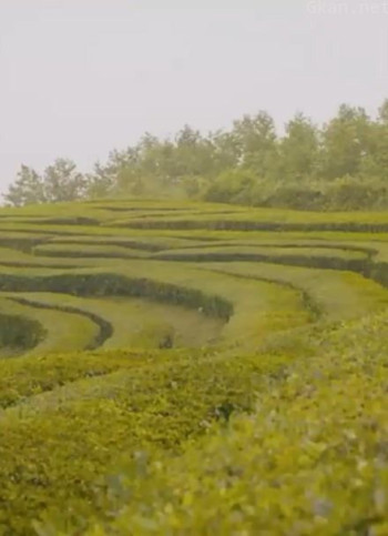 制作工厂,万物皆可制造