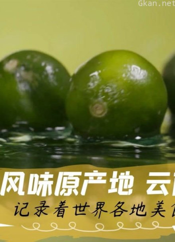 风味原产地 云南纪录片