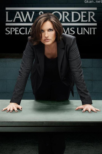 法律与秩序：特殊受害者 第十六季