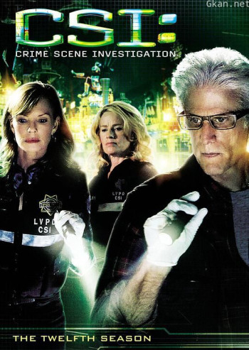 犯罪现场调查 第十二季