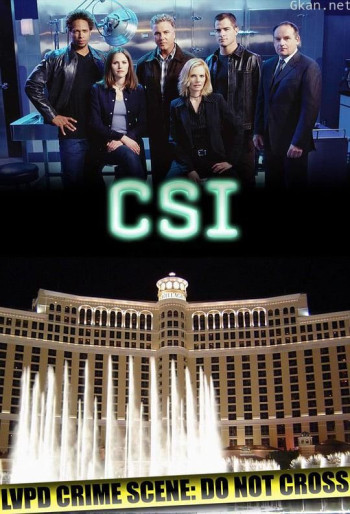 犯罪现场调查 第二季