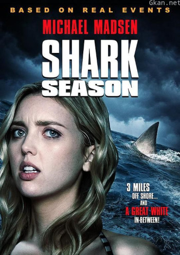 鲨鱼季节