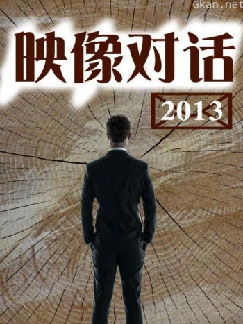 映像对话 2013