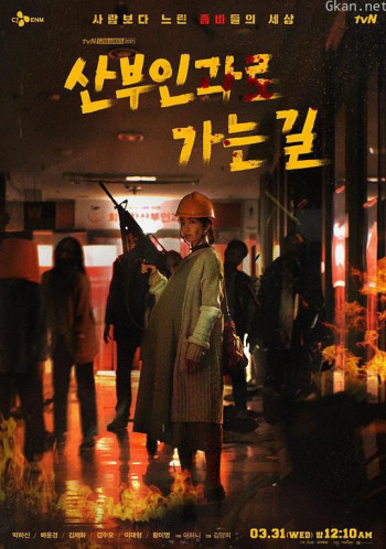 走向妇产科之路