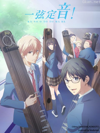 一弦定音！僅限港澳台地區