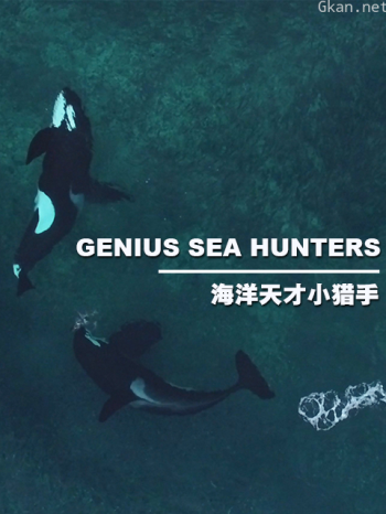 海洋天才小猎手