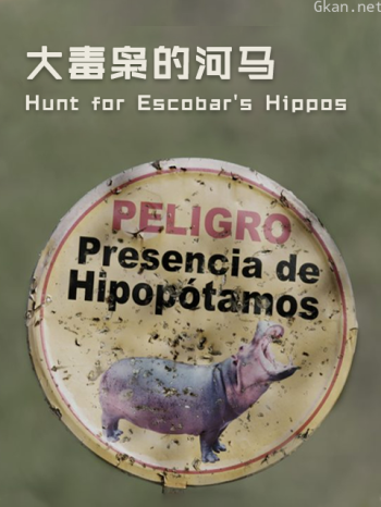 大毒枭的河马