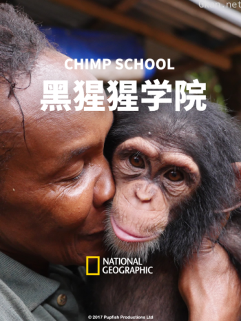 黑猩猩学院