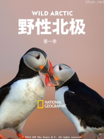 野性北极 第一季
