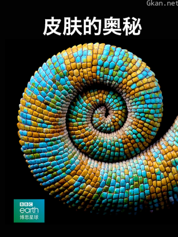 皮肤的奥秘