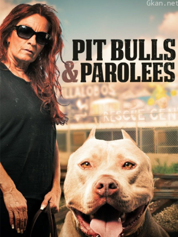 狗儿救援迎新生 第十季