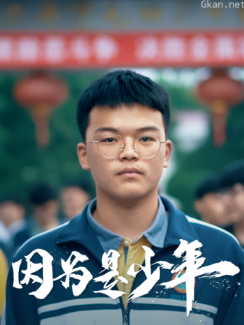 因为是少年